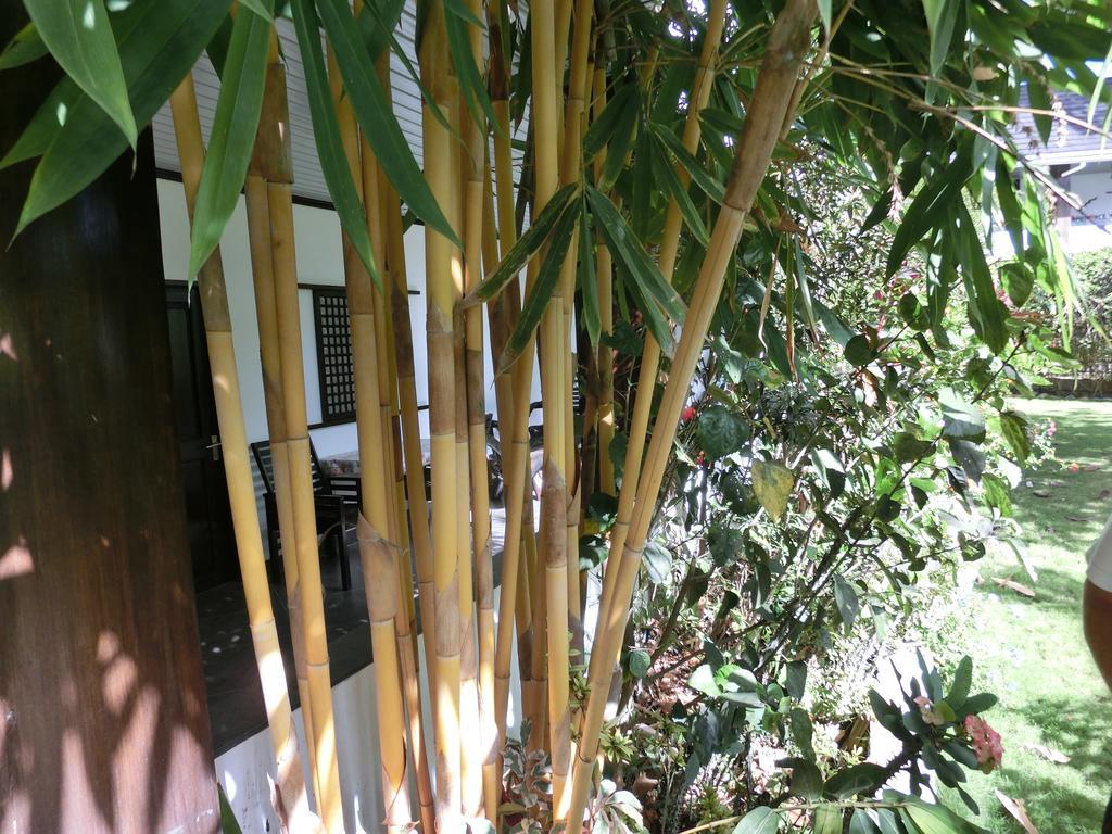 Balay Tuko Garden Inn Puerto Princesa